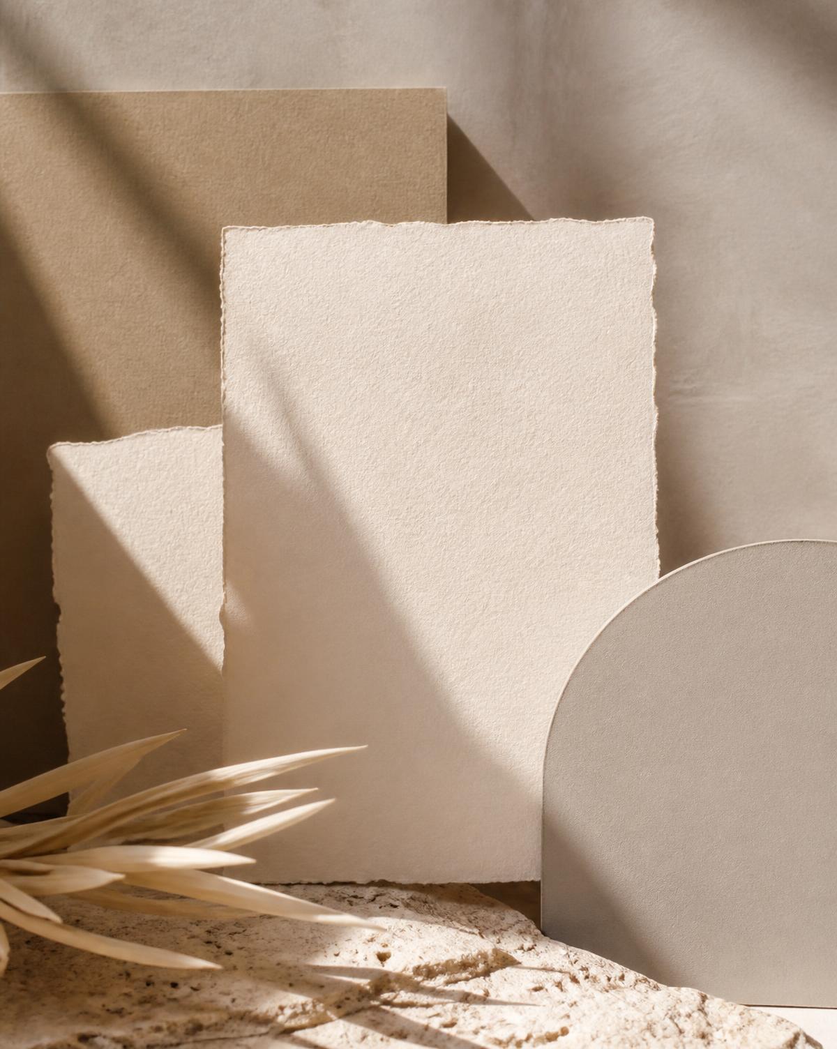 Layered ivory and taupe paper forms in warm natural light